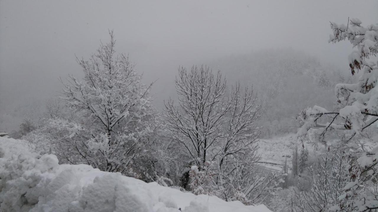 Studio Montagne Cerdagne A Saillagouse Bagian luar foto